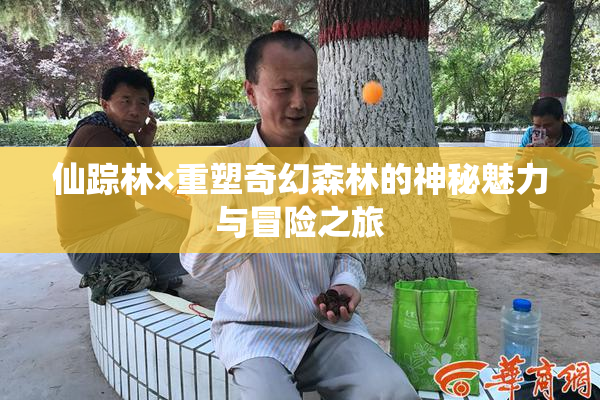 仙踪林×重塑奇幻森林的神秘魅力与冒险之旅