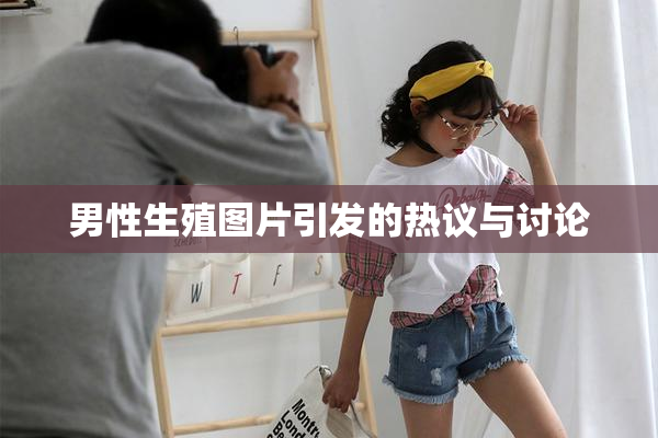 男性生殖图片引发的热议与讨论