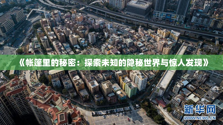 《帐篷里的秘密：探索未知的隐秘世界与惊人发现》