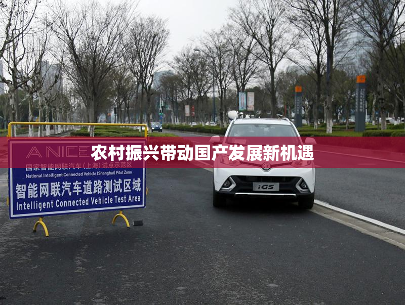 农村振兴带动国产发展新机遇
