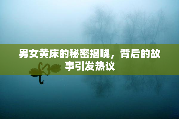 男女黄床的秘密揭晓，背后的故事引发热议