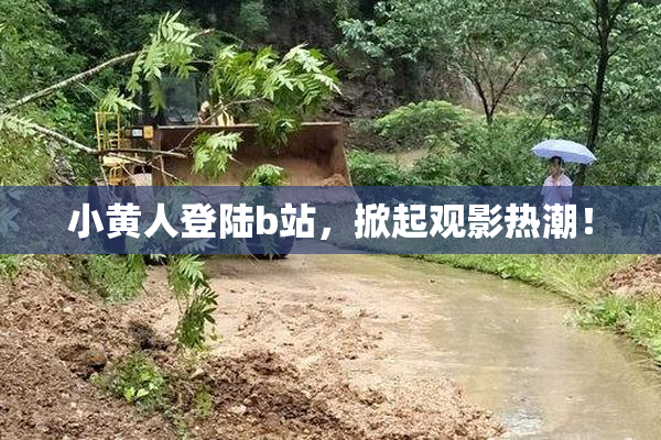 小黄人登陆b站，掀起观影热潮！