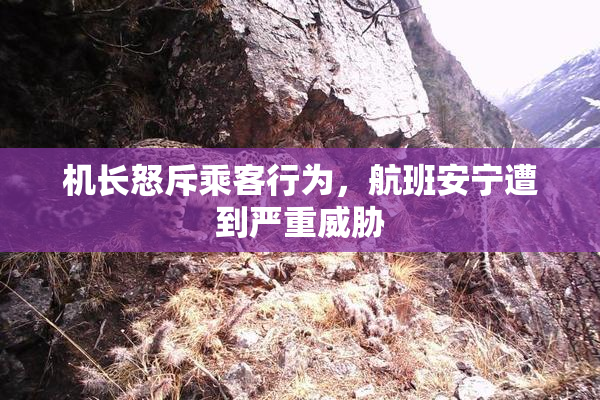 机长怒斥乘客行为，航班安宁遭到严重威胁