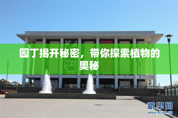 园丁揭开秘密，带你探索植物的奥秘