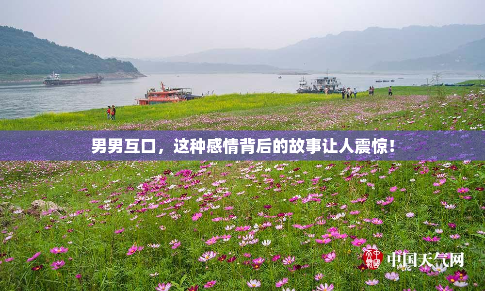 男男互口，这种感情背后的故事让人震惊！