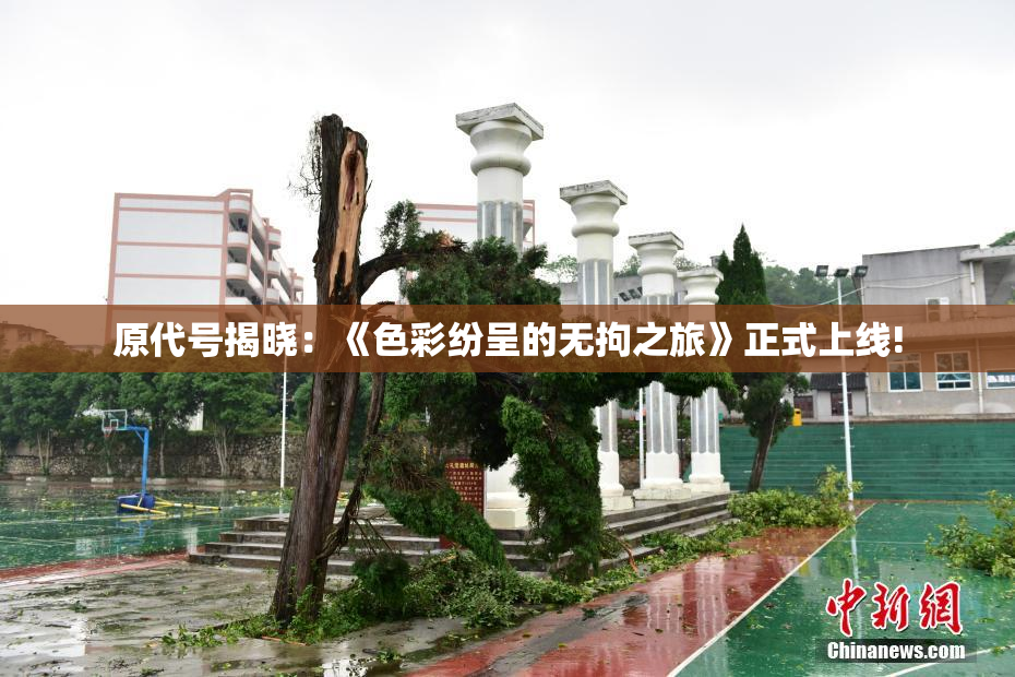 原代号揭晓：《色彩纷呈的无拘之旅》正式上线!