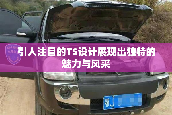 引人注目的TS设计展现出独特的魅力与风采