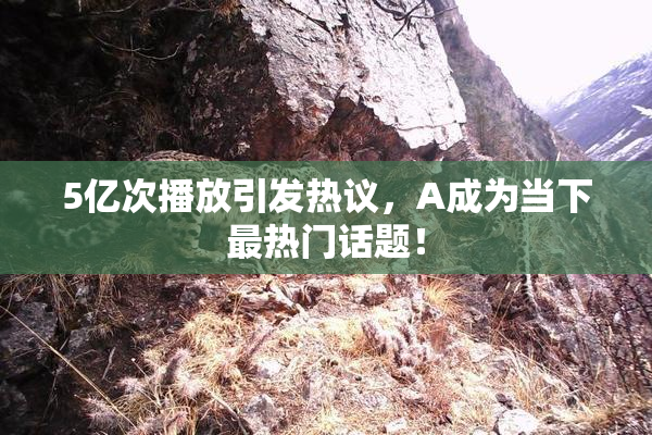 5亿次播放引发热议，A成为当下最热门话题！