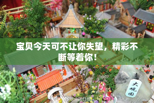 宝贝今天可不让你失望，精彩不断等着你！
