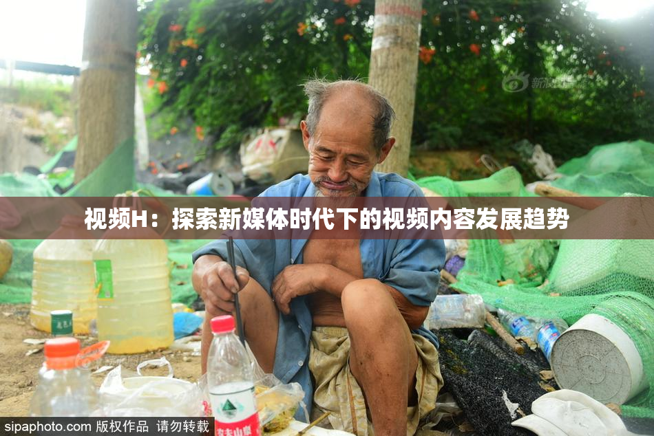 视频H：探索新媒体时代下的视频内容发展趋势