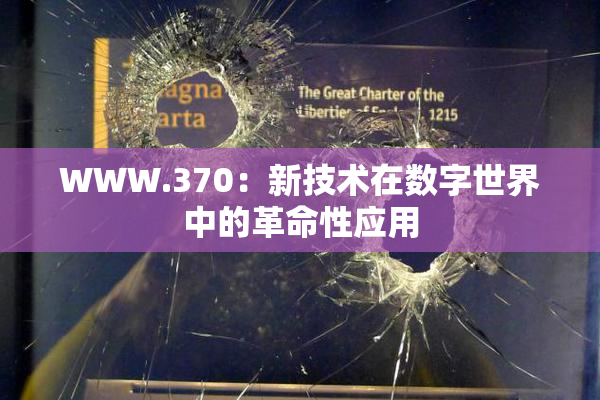 WWW.370：新技术在数字世界中的革命性应用