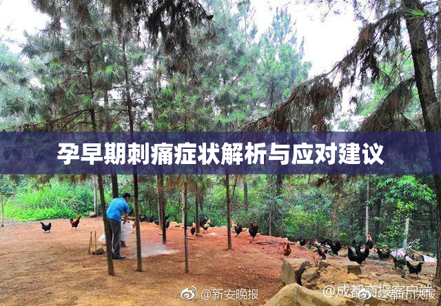 孕早期刺痛症状解析与应对建议