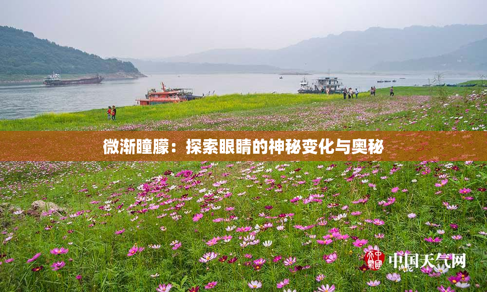 微渐瞳朦：探索眼睛的神秘变化与奥秘