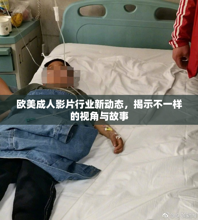 欧美成人影片行业新动态，揭示不一样的视角与故事
