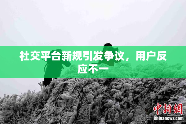 社交平台新规引发争议，用户反应不一