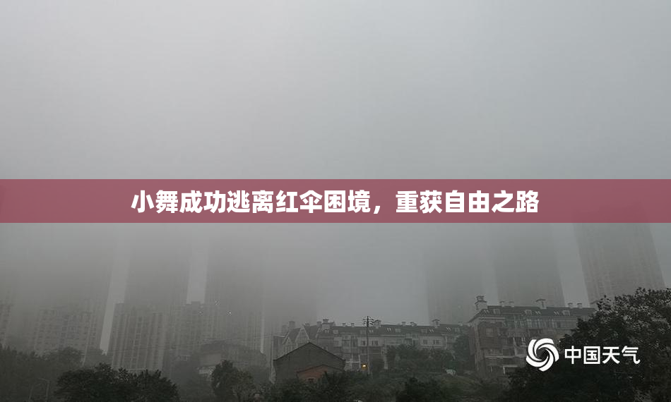 小舞成功逃离红伞困境，重获自由之路