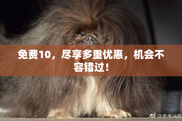 免费10，尽享多重优惠，机会不容错过！
