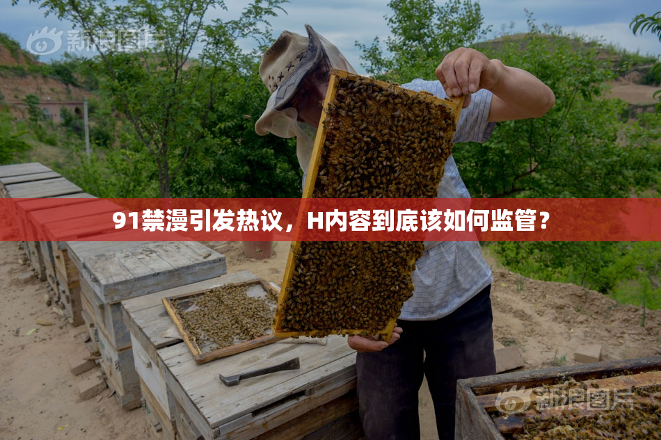91禁漫引发热议，H内容到底该如何监管？