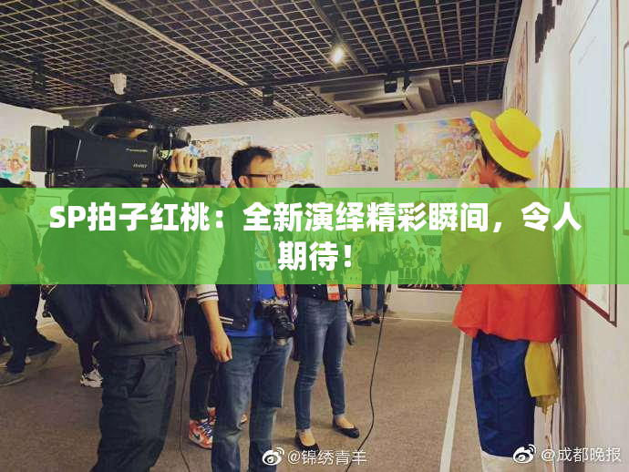 SP拍子红桃：全新演绎精彩瞬间，令人期待！