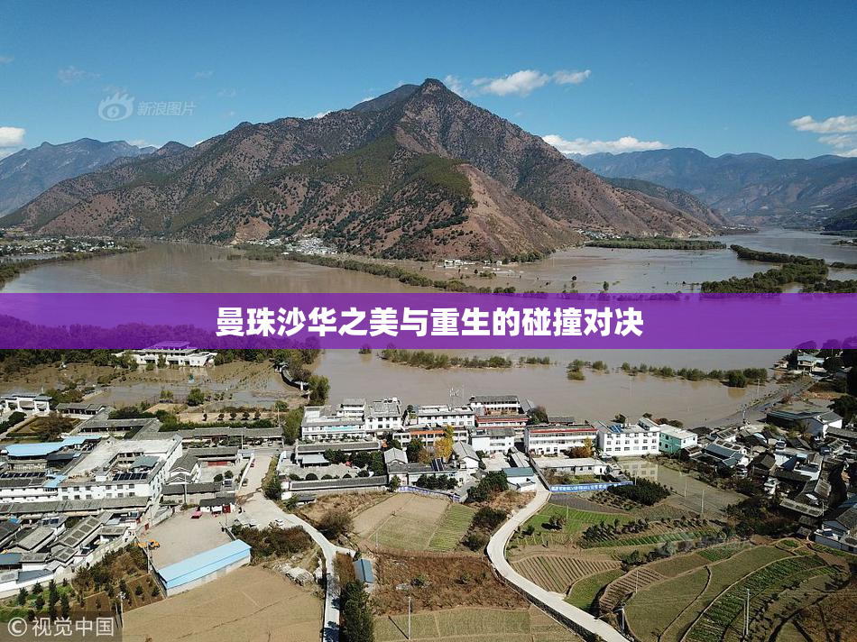 曼珠沙华之美与重生的碰撞对决