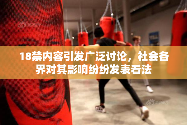 18禁内容引发广泛讨论，社会各界对其影响纷纷发表看法