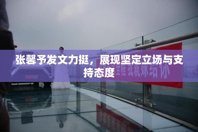 张馨予发文力挺，展现坚定立场与支持态度