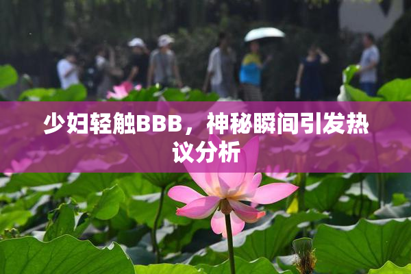 少妇轻触BBB，神秘瞬间引发热议分析