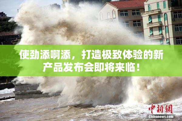 使劲添啊添，打造极致体验的新产品发布会即将来临！