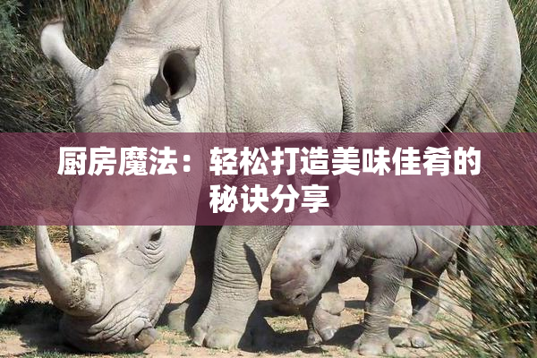 厨房魔法：轻松打造美味佳肴的秘诀分享