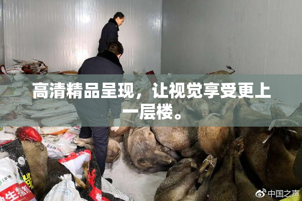 高清精品呈现，让视觉享受更上一层楼。
