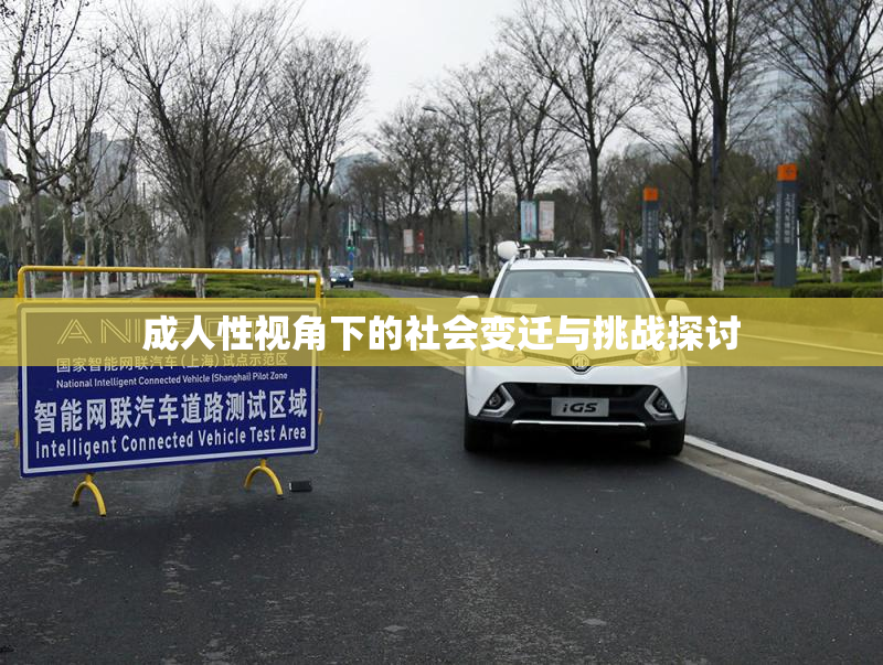 成人性视角下的社会变迁与挑战探讨