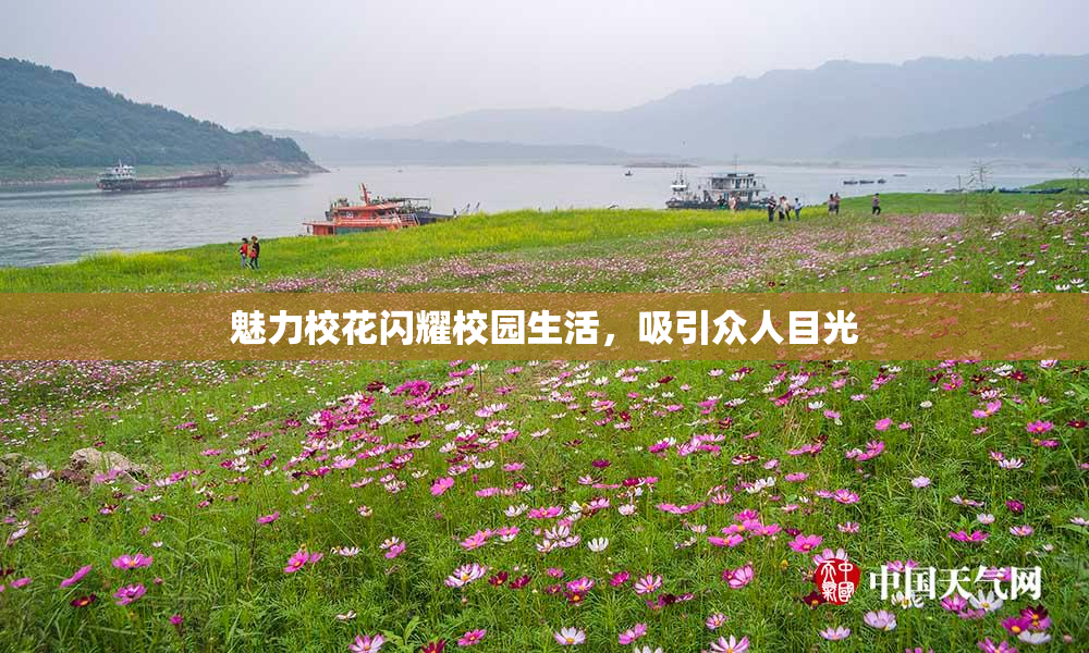 魅力校花闪耀校园生活，吸引众人目光