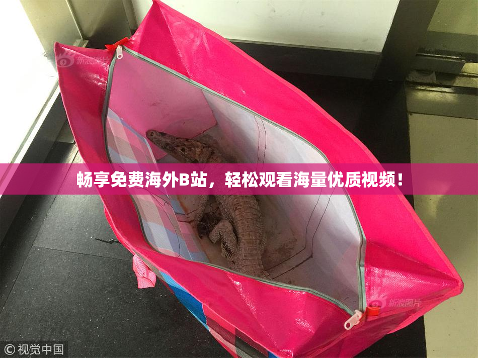 畅享免费海外B站，轻松观看海量优质视频！