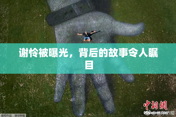 谢怜被曝光，背后的故事令人瞩目
