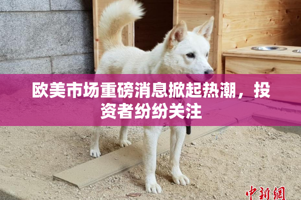 欧美市场重磅消息掀起热潮，投资者纷纷关注