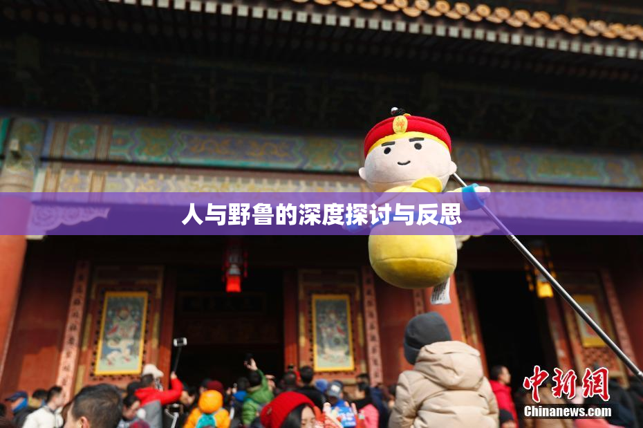 人与野鲁的深度探讨与反思