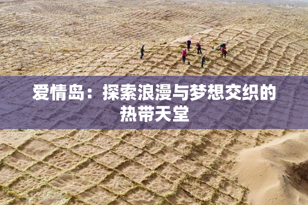 爱情岛：探索浪漫与梦想交织的热带天堂