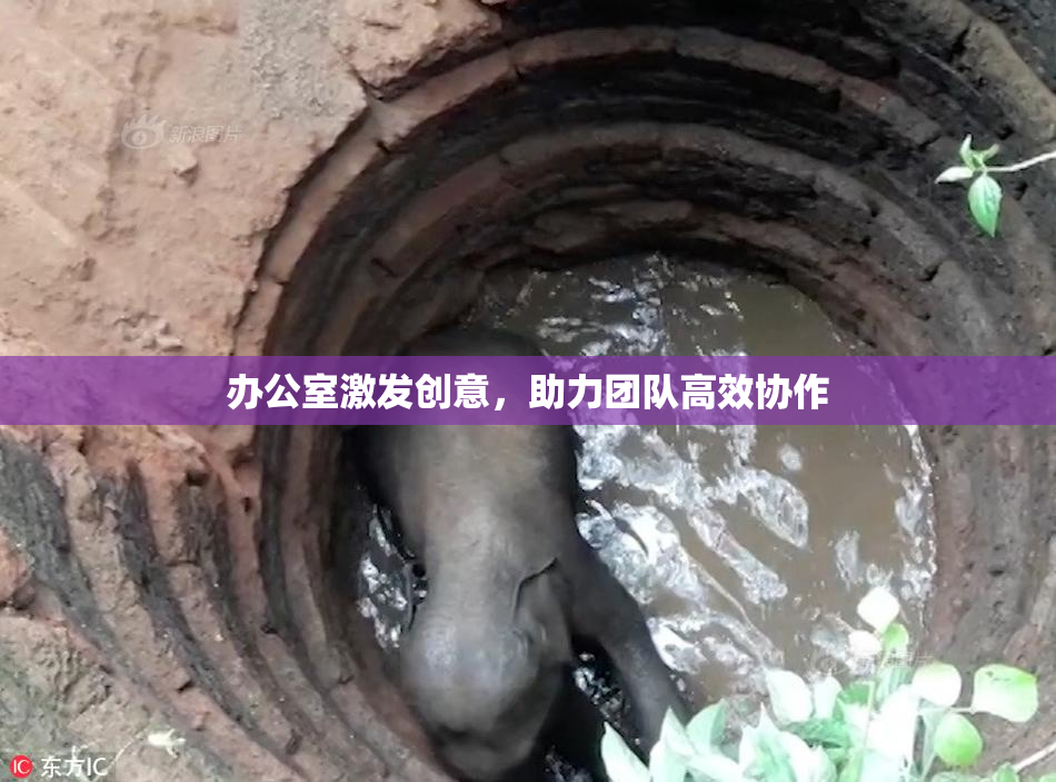 办公室激发创意，助力团队高效协作