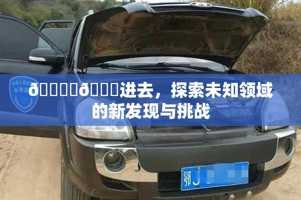 🔞‌🍌进去，探索未知领域的新发现与挑战