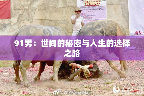 91男：世间的秘密与人生的选择之路