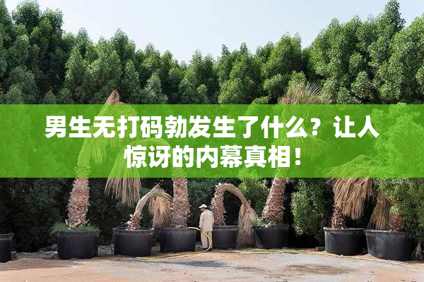 男生无打码勃发生了什么？让人惊讶的内幕真相！