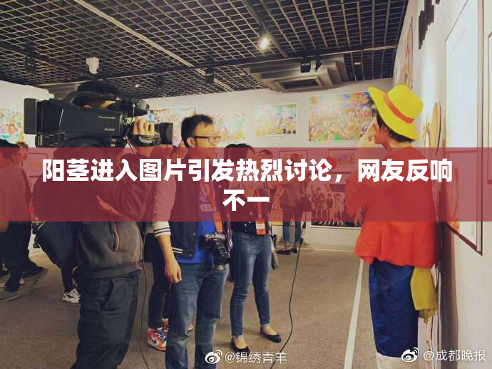 阳茎进入图片引发热烈讨论，网友反响不一