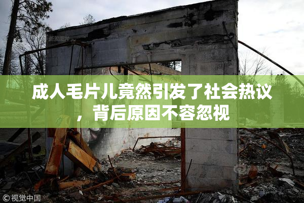 成人毛片儿竟然引发了社会热议，背后原因不容忽视