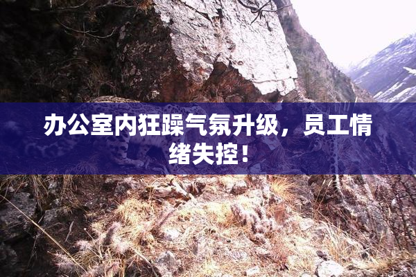 办公室内狂躁气氛升级，员工情绪失控！
