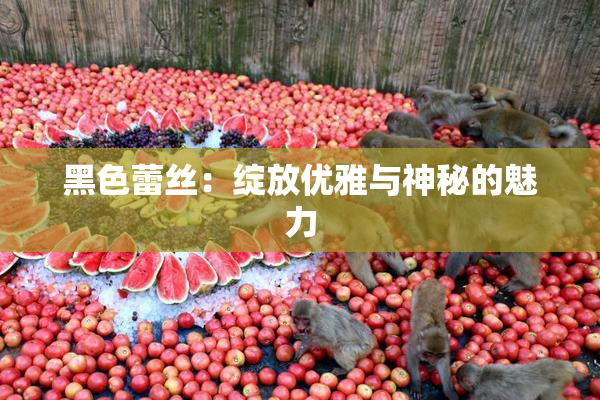 黑色蕾丝：绽放优雅与神秘的魅力