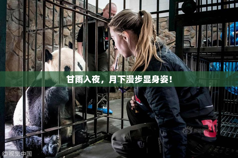 甘雨入夜，月下漫步显身姿！
