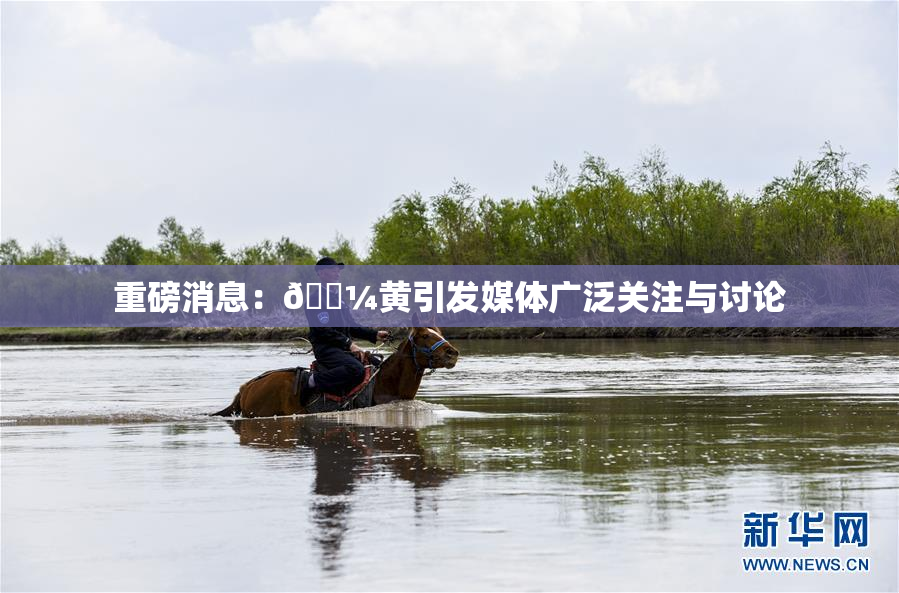 重磅消息：🌼黄引发媒体广泛关注与讨论