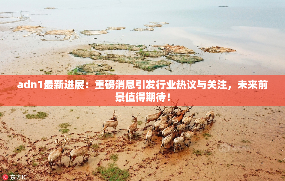 adn1最新进展：重磅消息引发行业热议与关注，未来前景值得期待！