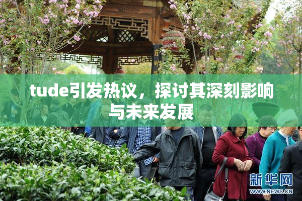 tude引发热议，探讨其深刻影响与未来发展
