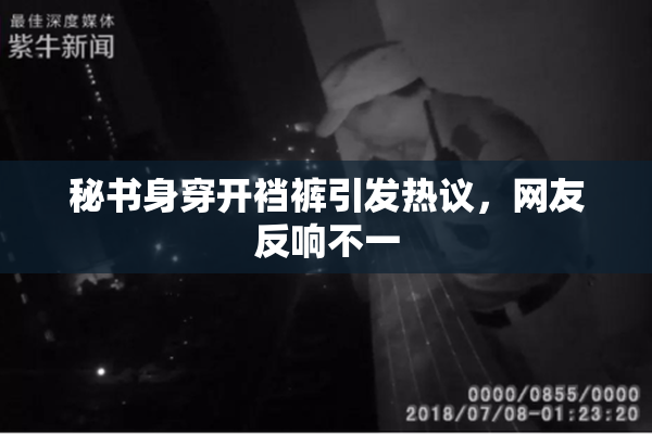 秘书身穿开裆裤引发热议，网友反响不一